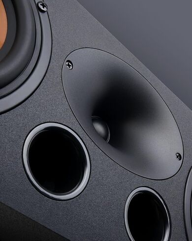 Saiyin Center Channel Speaker for Home Theater Surround Sound System in Kuwait