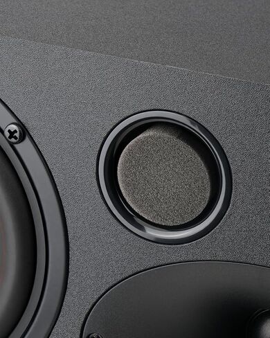 Saiyin Center Channel Speaker for Home Theater Surround Sound System in Kuwait