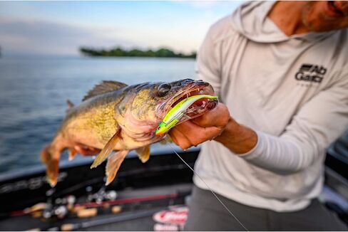 Berkley Gulp! Alive! Minnow ,Smelt, Length:3" (11.2 Oz) in Kuwait