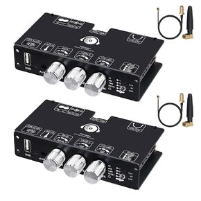TW100U Mono Bluetooth Amplifier Boards, 2-PCS in Saudi Arabia