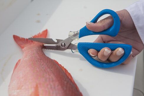 Cuda 8" Detachable Marine Shear Durable Fishing Mono, Braided Line & Fluorocarbon Cutter for Saltwater & Freshwater with Serrated Blades, Bottle Opener & Fish Scaling Edge in Saudi Arabia