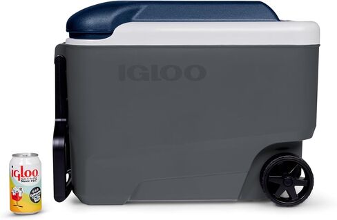 IGLOO Maxcold in Kuwait