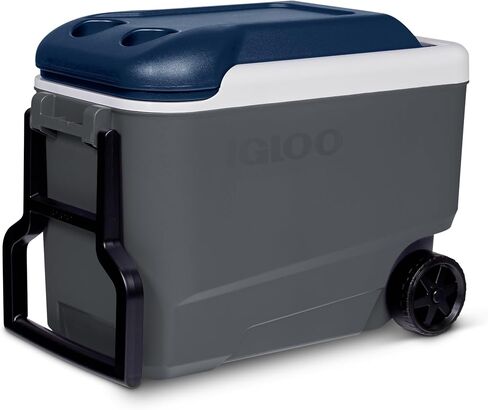 IGLOO Maxcold in Kuwait