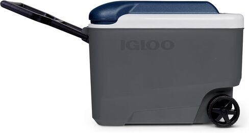 IGLOO Maxcold in Kuwait