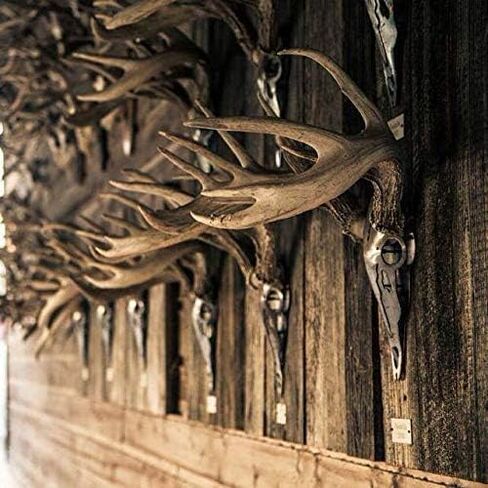 Do-All Outdoors Dead Deer Iron Buck, Small,Silver in Kuwait