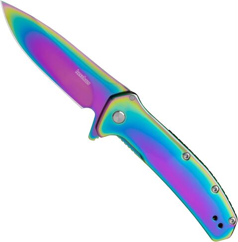Kershaw Outcome Pocket Knife, Silver, 2.8 Inch Stainless Steel Drop Point Blade, EDC with Assisted Opening, Reversible Pocketclip, Everyday Carry Pocket Knife for Men and Women in Kuwait