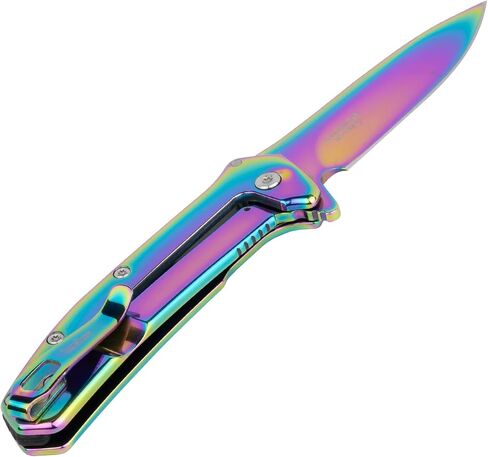 Kershaw Outcome Pocket Knife, Silver, 2.8 Inch Stainless Steel Drop Point Blade, EDC with Assisted Opening, Reversible Pocketclip, Everyday Carry Pocket Knife for Men and Women in Kuwait