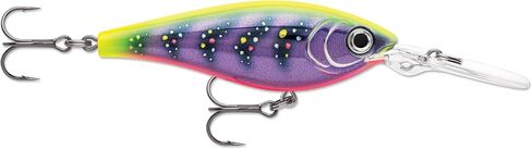 Rapala Harvest Shad Crankbait, Hard Bait Lure, Bass Walleye and Pike Fishing Lure, Wide Wobble Action, 2", Purple Meat Market in Kuwait