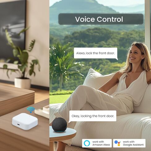DESLOC G2 Wi-Fi Gateway for Smart Lock, Remote Access Bridge in Kuwait