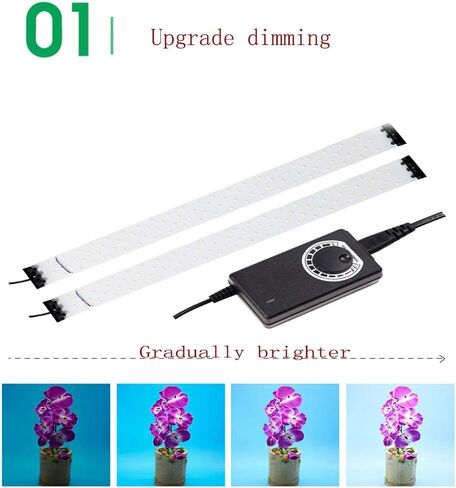 Photo Studio 23"x23"x23" Super Bright Dimmable Portable LED Lighting Studio Light Box Shooting Tent Kit for Jewellery Food Bags Shoes in Saudi Arabia