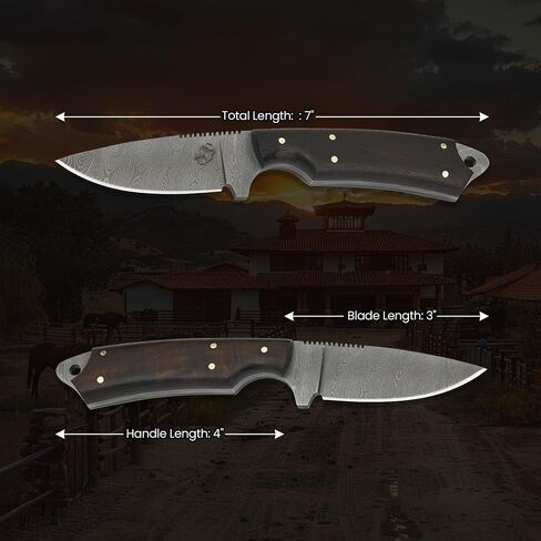 Knives Ranch Fixed Blade EDC Knife – Full Tang – Carbon Steel Damascus – Rosewood Handle – 45° Pancake Leather Sheath – Cowboy Ranch Knife for Hunting & Skinning in Kuwait