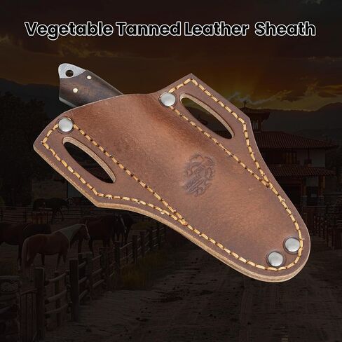 Knives Ranch Fixed Blade EDC Knife – Full Tang – Carbon Steel Damascus – Rosewood Handle – 45° Pancake Leather Sheath – Cowboy Ranch Knife for Hunting & Skinning in Kuwait