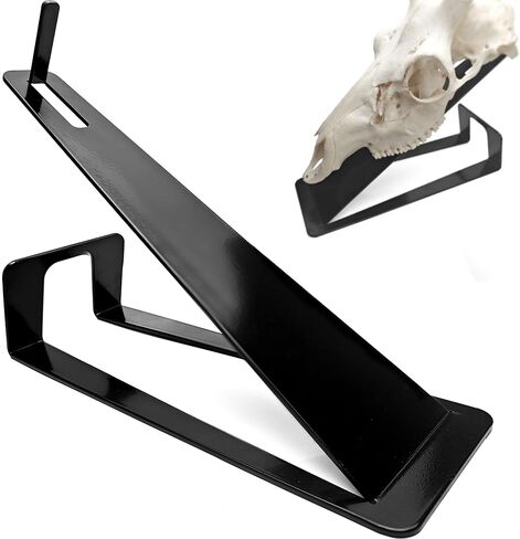 European Mount Skull Hanger Stand for Tabletop Desk, Heavy Duty in Kuwait