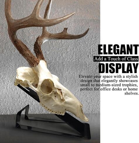 European Mount Skull Hanger Stand for Tabletop Desk, Heavy Duty in Kuwait