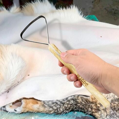 Wiebe Pelt Scraper, Dual-Edge Forged Steel Fleshing Tool with Wood Handle – Precision Hide Scraper for Muskrat, Mink, Small Game & Taxidermy Detail Work in Kuwait