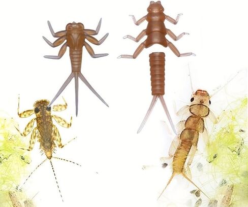 Set of 70 Fly Tying Realistic Mayfly Stonefly Nymph Rubber Bodies & Legs DIY Materials Kit Artificial Trout Fly Lure Bait Model Pre-Formed Segmented Aquatic Insect Lure Fly Tying Materials in Kuwait