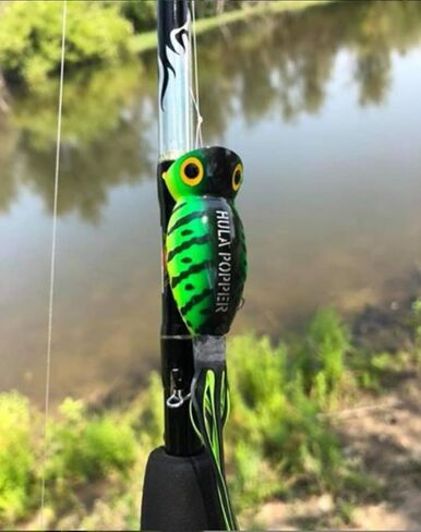 Arbogast Hula Popper Topwater Fishing Lure, Frog Yellow Belly, G730 (1 1/4 in, 3/16 oz) in Kuwait