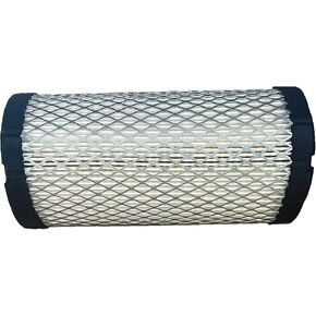 فلتر هواء عربة الجولف 11017-EZ 1025582-01 28463-G01 أسود in Kuwait