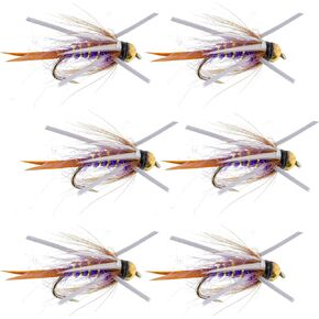 The Fly Fishing Place Bead Head Purple Prince Nymph Rubber Legs Fly Fishing Flies - Set of 6 Flies Hook Size 12