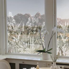 ChicSkin Botanical Etched Glass Transparent Window Film Decorative Glass Window Decor, Thickened Floral White Frost Decorative Window Film, Daisy and Wildflower Privacy Window Film 22.83"X47.24"