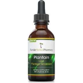 Florida Herbal Pharmacy, Alcohol - FREE Plantain (Plantago lanceolata) Tincture/Extract 2 oz.