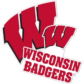 Desert Cactus University of Wisconsin Sticker Badgers UW Madison Sticker Vinyl Decal Laptop Water Bottle Car Scrapbook (4 Inch Set V2)