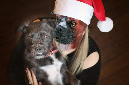 قناع كلب من اللاتكس على شكل حيوان من HENGYUTOYMASK، قناع رأس كلب بوكسر واقعي، قناع الكلب أزياء الهالوين in Kuwait