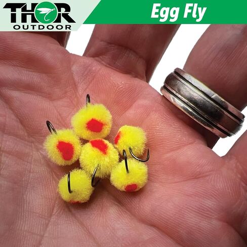 Blood Dot Egg Fly with Case - BH Wet Fly Fishing Flies for Trout, Salmon, Panfish, Bluegill in Saudi Arabia