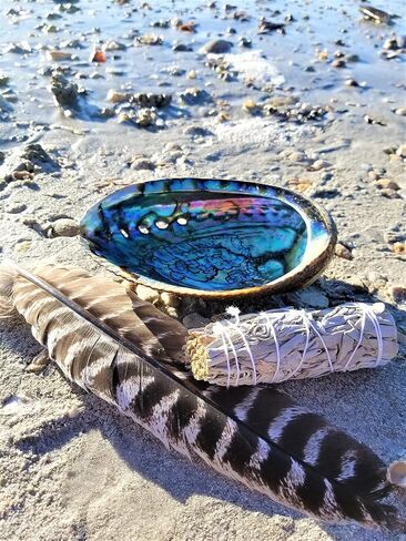 Sage Smudge Kit: Ultimate 12 Piece Spiritual Gifts Variety Smudging Kit: 6+" XL Abalone Shell, Complete Smudging Gift Set, Cleansing, Healing Positive Energy Home Kit! (Tiger's Eye/Lavender Kit) in Saudi Arabia