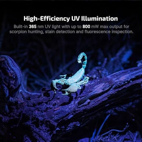 OLIGHT Oclip Pro S EDC Flashlight Clip-on Light Bundle with Bundle Oclip Series Headlamp in Saudi Arabia