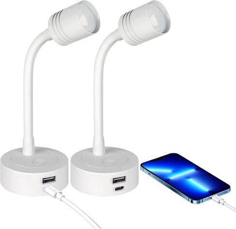 12V Dimmable Reading Light, RV LED Lamp with USB-A & USB-C Charger in Kuwait