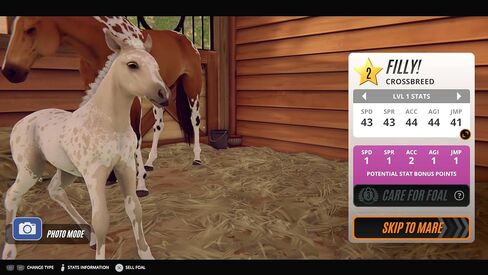 Rival Star Horse Racing PS5 in Kuwait