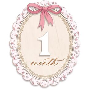 Wooden Baby Monthly Milestone Signs Swan Floral Pink Bow 1-24 Month in Kuwait