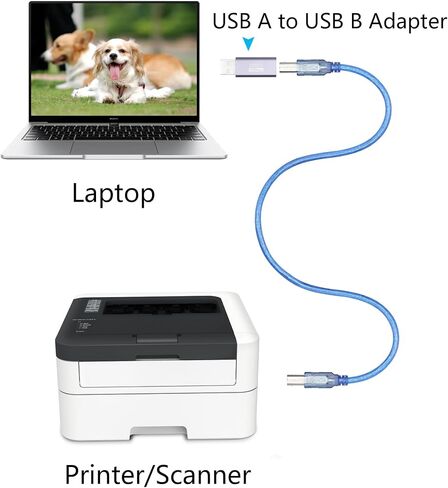 USB 2.0 Printer Connector Adapter, Expansion Adapter Plug, 480 Mbps Data in Kuwait
