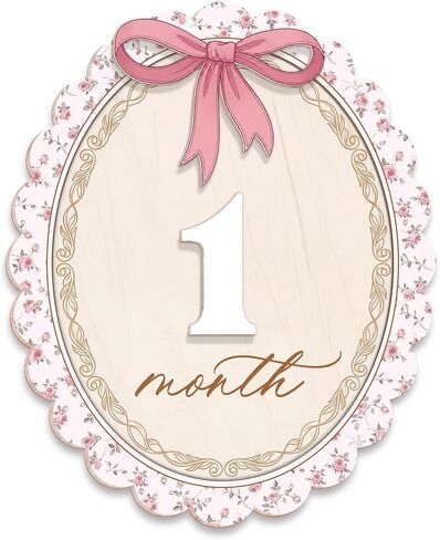 Wooden Baby Monthly Milestone Signs Swan Floral Pink Bow 1-24 Month in Kuwait
