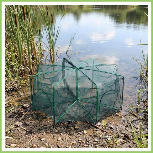 Foldable Fish Trap Net with 8 Holes, Collapsible Fishing Bait Trap 2 Pack in Kuwait