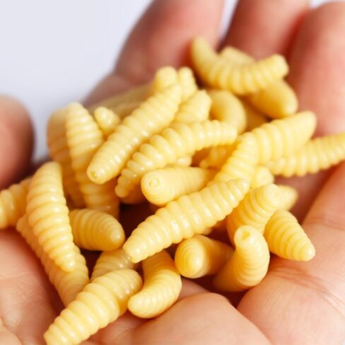 500 Pcs Fake Maggots Fake Wax Worms Soft Plastic Maggot Baits Bread Worm Fish Lure False Wax Worm Fishing Lures Baits for Fishing Bass, Halloween Decoration in Kuwait