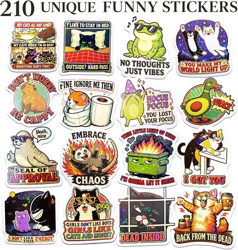 210 PCS Holographic Funny Stickers for Adults, Sarcastic Memes Humor Pack in Kuwait