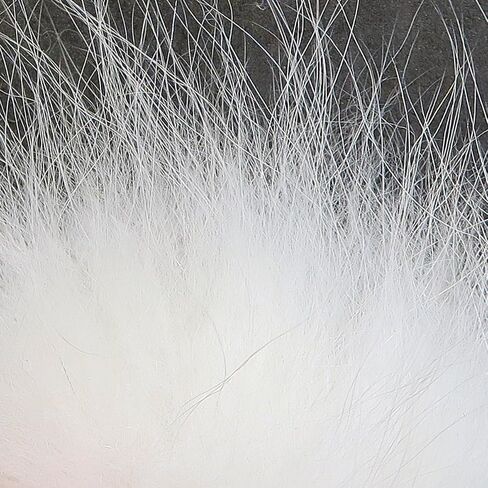 Hareline Fly Tying Arctic Fox Hair - White in Kuwait