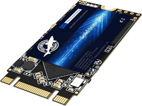 Dogfish M.2 2242 SSD 256GB 3D NAND TLC SATA III 6 Gb/s, Internal Solid State Drive - Compatible with Desktop PC Laptop (M.2 2242 256GB) in Kuwait