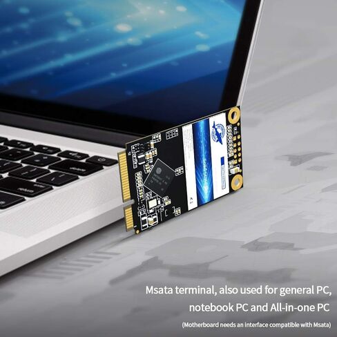 Dogfish Msata 32GB Internal Solid State Drive Mini Sata SSD Disk in Kuwait