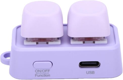 CHICIRIS Bluetooth Page Turner for Ebooks, 2 Key Macro Keypad with RGB in Kuwait