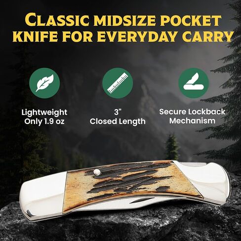 Bear & Son 505 Genuine India Stag Bone Midsize Lockback Knife, 3 3/4-Inch in Saudi Arabia
