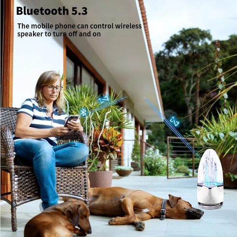 Water Dancing Speaker, Bluetooth Wireless, Gray in Kuwait