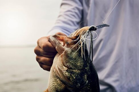 Berkley Slobberknocker and Power Stinger Kit, Green Pumpkin, 1/2 oz., Innovative Design Drives Consistent Vibration Through Entire Trailer, Jig and Swimbait for Bass Fishing, Fusion19 Hook in Kuwait