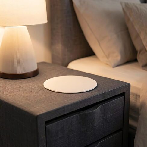 Lamp Shade Diffuser Disc Acrylic 5pcs Frosted for Ceiling Lights in Kuwait