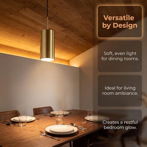 5pcs Acrylic Lamp Shade Diffuser Disc for Ceiling Pendant Light in Kuwait