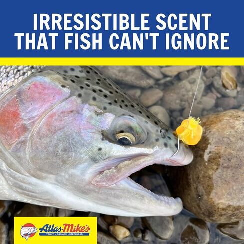 Lurwind Best Bundle Atlas Mike's Fishing Trout Bait Salmon Eggs in Saudi Arabia