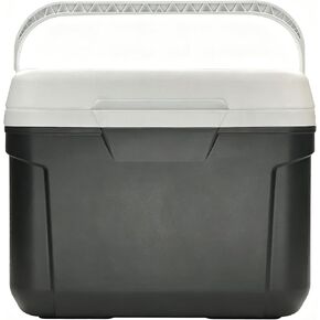 30 Qt Hard-Sided Cooler, 42-Can Insulated Ice Chest with Carry Handle, Gray in Kuwait