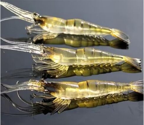 10Pcs Soft Artificial Shrimp Lures, Realistic 4cm Grass Shrimp Bait for Saltwater and Freshwater Fishing, Lifesize Design with Natural Action in Kuwait